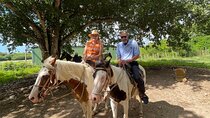 Horseback Riding and Taíno Cave Exploration 