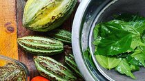 Medicinal and Edible Plant Class at Hidden Jungle Beach House