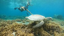 Snorkling trip 3 gili(terawangan, meno,air)