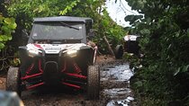 Northern Sights - Buggy in the North