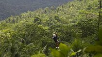 Drive and Fly - Buggy and Zipline