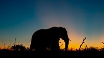 Aquila Game Reserve Sunset Safari 