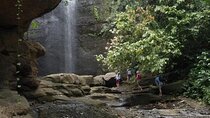 Rainforest Hike