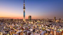 3-Days Tokyo, Fuji & Nikko Private Tour