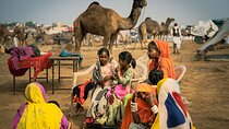 Jaipur to Pushkar Day Trip with Lakeside Lunch