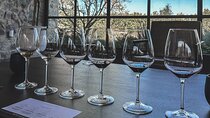 Private Wine Tour in Santa Barbara Wine Country