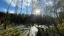 Guided hike in Berlin and Brandenburg incl. transport 