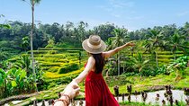 Ubud Tour with Swing, Waterfalls, Rice Terraces & Monkey Forest