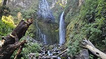 Private Tour to Los Diamantes Waterfall from CDMX