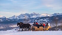 Tatra Mountain Sleigh Ride in Zakopane from Kraków