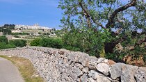 E Bike Tour in Locorotondo and Cisternino Italy