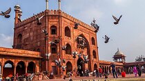 Half Day Private Old Delhi Heritage Walking Tour All Inclusive 