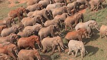 Explore Tsavo East and West in 3 Days Tour 
