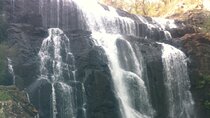 Melbourne: Private Grampian National Park Tours