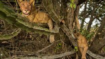 3 Days Queen Elizabeth and Chimps Combo Tour