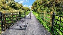Arthurs Grand Canal Bike Tour