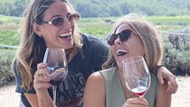 From Barcelona: Priorat 2 Wine Tastings & Gourmet 3 Course Lunch