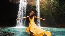 Full Day Private Tour in Ubud with Temple and Waterfalls 