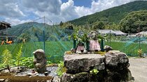 Rural Kyoto One Day Tour of a Tranquil Landscape in Ohara