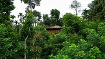 Wildlife Tour A Journey Through 3 Sanctuaries