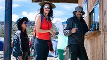 Best 1 Day Kilimanjaro Hiking Tour Via Marangu Route 