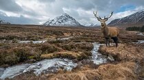 Private Luxury Tour of The Highlands and Loch Ness From Glasgow