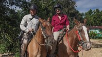 Horseback Ride Near Cartagena With Mountains, Wildlife and Forest