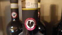 "Good Morning Chianti Classico" - Tour in 2 wineries with lunch