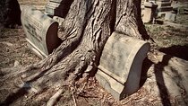 Philadelphia's Forgotten Dead