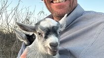 Birds, bees, plants and goats.