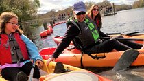Blue Springs Manatee Tours & Wildlife Adventure Orlando