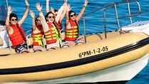 Visit Palma by speedboat from Can Pastilla