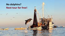 Sunrise Dolphins & Fishermen at Work speedboat tour in Rovinj