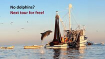 Private Sunrise Dolphins & Fishermen at Work boat tour in Rovinj