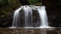 The Ultimate Jaco Waterfall Experience – Adventure & Serenity