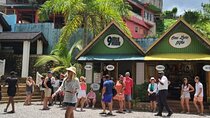 Bob Marley and Blue Hole Experience private transportation 