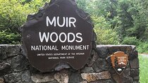Muir Woods & Sausalito: Small Group Experience 
