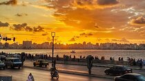 Discover Alexandria Walking Tour