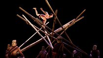 A O Bamboo Circuit Show