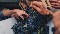 Tuscany Wine Tour