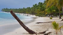 Catalina Island Full Day From Punta Cana