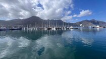 Private Full Day Cape of Good hope, Penguins and more 