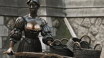 Highlights of Dublin Private Walking Tour with Guide
