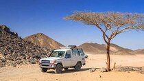 ATV Quad Bike And Jeep And Buggy And Camel Ride Tour with Dinner