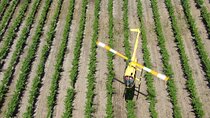 4-Minute Flight Over Picturesque Hoffnungsthal Valley