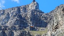 Half Day Table Mountain & Kirstenbosch Gardens 
