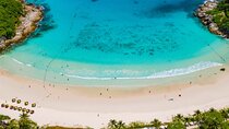 Phuket Racha and Coral Islands Speedboat Trip with Lunch