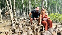 Can Gio Mangrove Tour and Monkey Island Tour