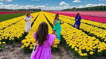 Amsterdam: Tulip Fields Day Tour with Lunch and a Windmill Visit