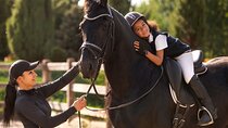 Sunrise Horse Riding Dubai 